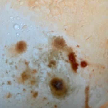 Öncü Salça Küf Ve Pas