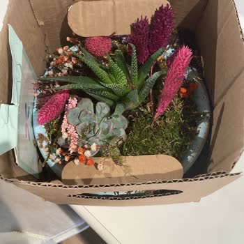 ÇiçekSepeti Çiçek Gönderimiyle İlgili Sorun