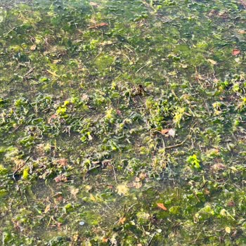 Mudanya Belediyesi Temizlik Ve Koku