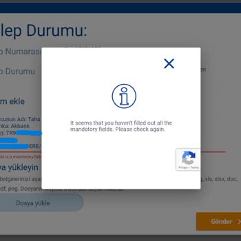 Sunexpress Hava Yolları Bagaj Hasarı Bildiriminin Kendi Sitesinden Gerçekleştirilememesi
