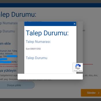 Sunexpress Hava Yolları Bagaj Hasarı Bildiriminin Kendi Sitesinden Gerçekleştirilememesi