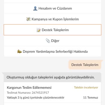 Trendyol Ne Ürünümü Verdi Ne De Paramı
