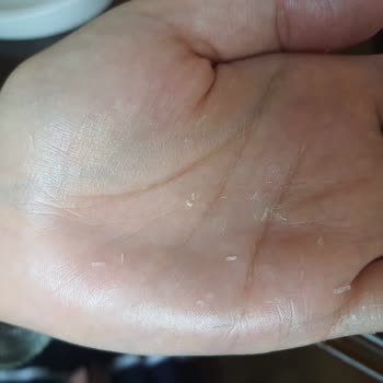 Procsin Pink Güneş Kremi Plastik Parçalı