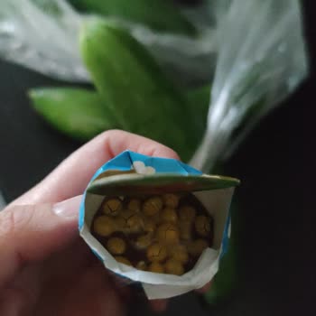 A101 Kapıda Bozuk Ürün!