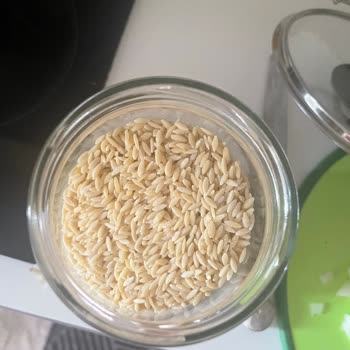 Filiz Makarna Şehriyede Kurt Çıktı