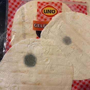 Uno Ekmek Lavaş Ürününüzde Küflenme Sorunu