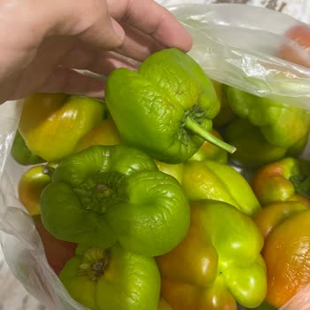 Getir Siparişinde Sağlığı Tehdit Eden Ambalajlama