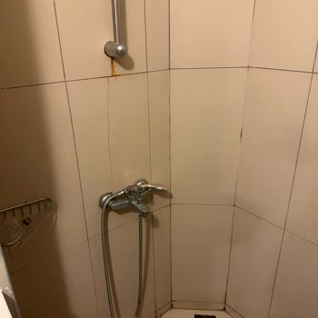 Temple Group Hotels Bir Otel Nasıl Bu Kadar Kirli Olabilir