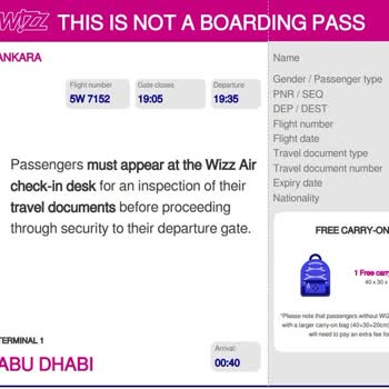 Wizz Air Check-in Hatası Alıyorum
