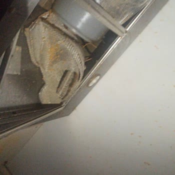 Emsan Mutfak Düdüklü Tencere Patlaması