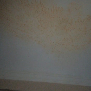 Emsan Mutfak Düdüklü Tencere Patlaması