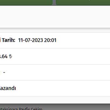 Betgaranti Çekim Yapamıyorum, İptal Ediliyor