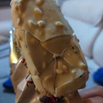Magnum Bombajlı Ambalaj Eksi Tat