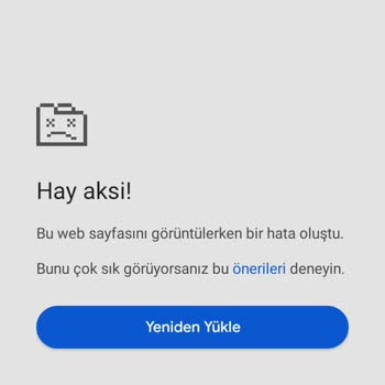 Reeder S19 Max Sorunları