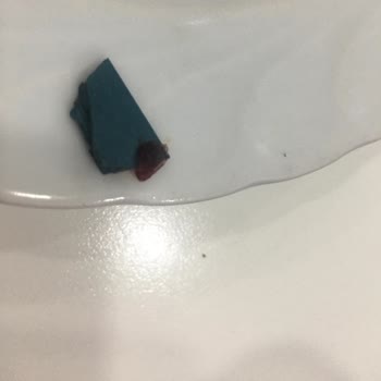 Tat Gıda Tat Şeker İlavesiz Böğürtlen Reçeli İçinden Plastik Parça Çıkması