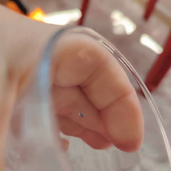 Paşabahçe İçinde Kalan Küçük Böcek İle Yapılmış Cam Bardak