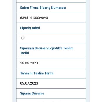 Borusan Lojistik Kargo Ve Teslimat