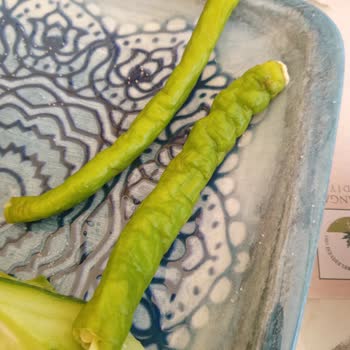 Sümbüllü Bahçe Konağı Kahvaltıyı Ve Çalışanların Tavrını Beğenmemek