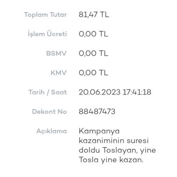 Tosla Sistemsel Hata Olduğunu Düşünüyorum