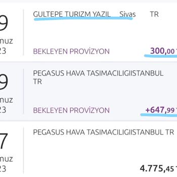 Pegasus Gültepe Turizm Uçak Bilet İptali İçin Yüklü Miktarda Para Kesildi