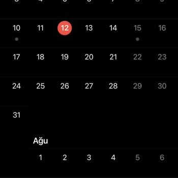 PTT Kargo Kargomu Getirmediler. Bir Olasılıkla Kaybettiler 15 Gündür Ortada Yok.
