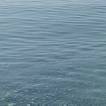 Eki aç