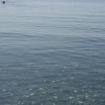 Eki aç