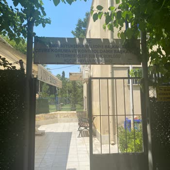 İzmir Büyükşehir Belediyesi Bsb Veteriner Hekimlerin İhmalsizlikten Öldürdükleri Canlar