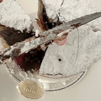 Pelit Pastanesi 'nden Alınan Pastanın İçinden Çıkan Kıl