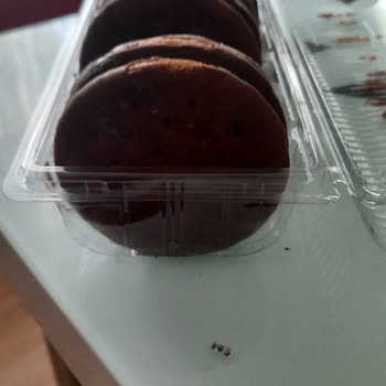 Ülker Halley Lezzet Bozukluğu