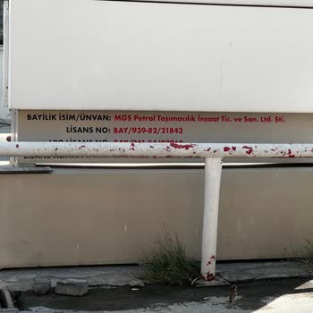 Shell Çalışanlar Ve Temizlik