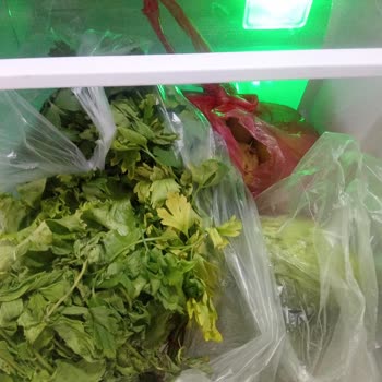 Arçelik Beyaz Eşyalar Arızalı Geldi