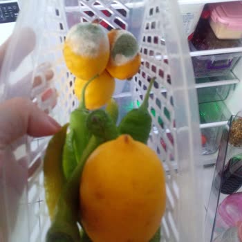 Arçelik Beyaz Eşyalar Arızalı Geldi