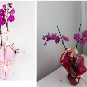 Çiçek Sepeti Hayal Kırıklığı