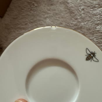 Porland Garip Şirket Politikası