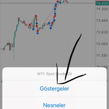 Finx Brokers Baktılar Kazanıyorum Hesabımı Yönetip Eksiye Düşürdüler