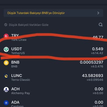 Binance TR USDT İşlem Geçmişinde Para Görünüyor Ama Hesapta Görünmüyor
