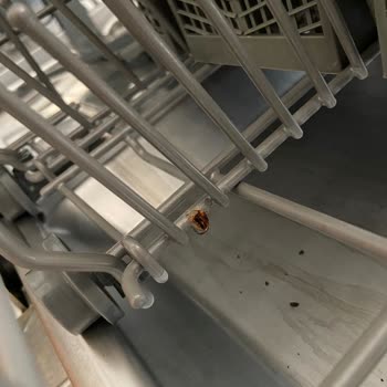 Franke Bulaşık Makinesi Paslanma Sorunu