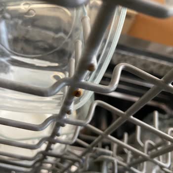 Franke Bulaşık Makinesi Paslanma Sorunu