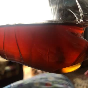 Lipton İce Tea Şeftali Küflenmiş İçecek