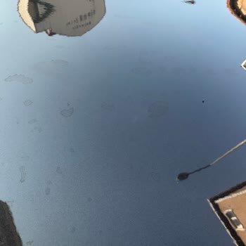 Doğuş Oto Gebze Servis Sıkıntısı