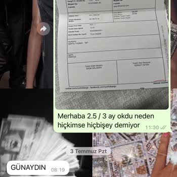 Schafer Sorumsuzluğu Ürünümü Kaybettiler