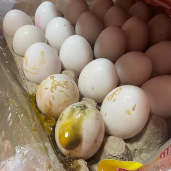 Yumurtacım Migros'un Kurtlu Yumurtaları