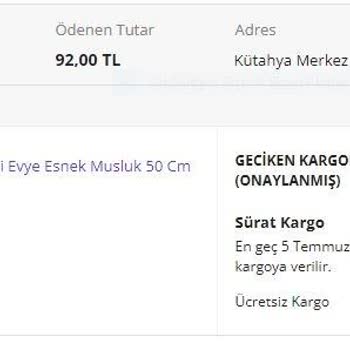 N11 Malı Sat Ama Gönderilmesin  Siz Ne İş Yaparsınız  Takip Yok Mu?