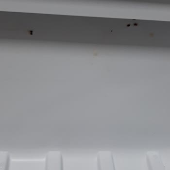 Uğur Soğutma Uğur 7238 Derin Dondurucu Cihazında Yaşanan Sorun
