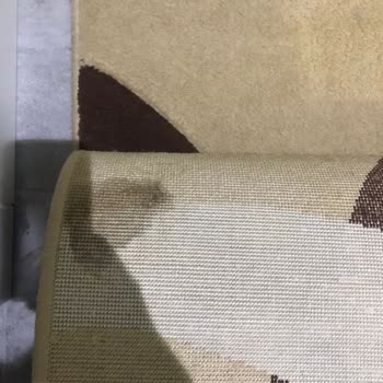 İmza Halı Koltuk Yıkama (Avcılar) Halılarım Pis Geldi