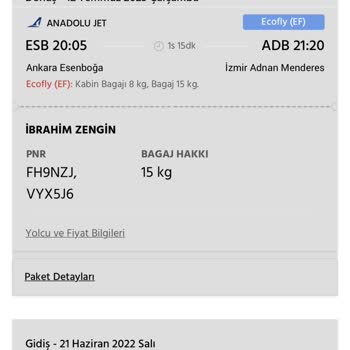 Anadolu Jet THY Online Check-in Biniş Kartımı Bana Göndermedi.