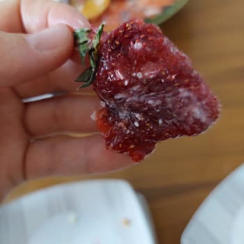 Buket Pastanesi İzmir Meyveli Pastanın İçindeki Çiçekler Bozuk Çıktı