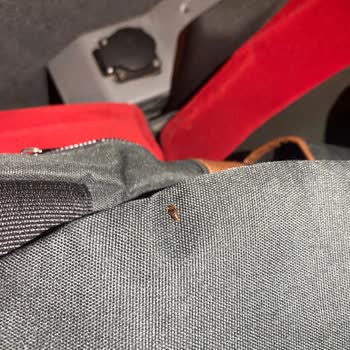 Mersin Nur Turizm'de Böcek Problemi