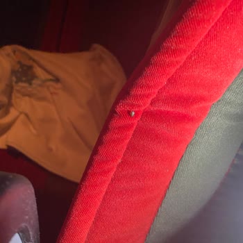 Mersin Nur Turizm'de Böcek Problemi